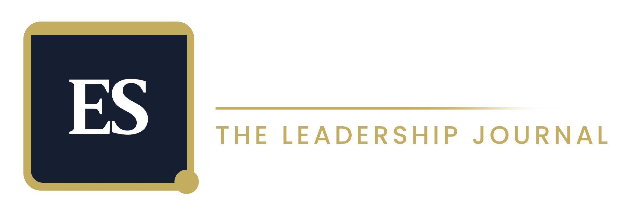 Executive Story Logo_New
